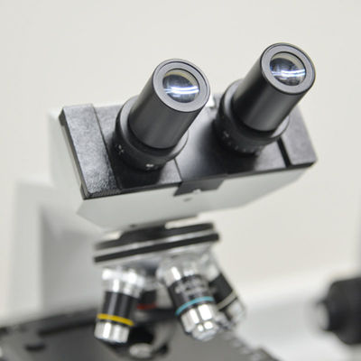 ISO8124 15189 Iso 공인된 실험실 테스팅 서비스 장난감 검사 제 3자 인증 서비스