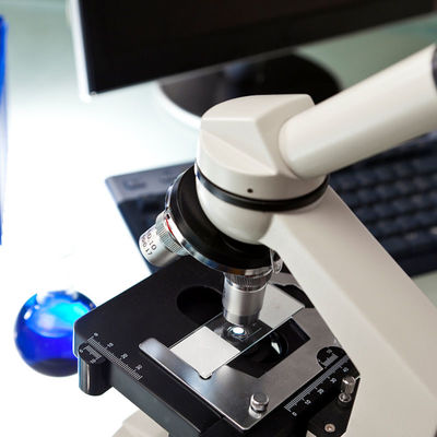 실험실 순응성 Ce En71 인증 제 3자 인증 서비스를 테스트하는 볼 당 활동 완구