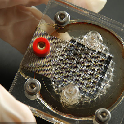 DOE Fcc CE 인증 실험실 전자파 적합성 팝콘 기계 제 3자 인증 서비스