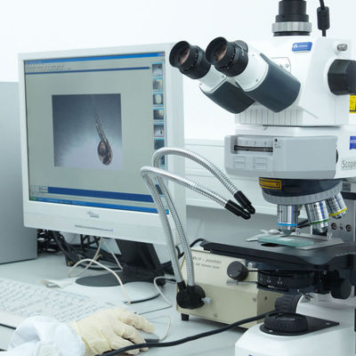 Iso CE 실험실 증명 서비스 GTS 전기 면도기 제 3자 인증 서비스