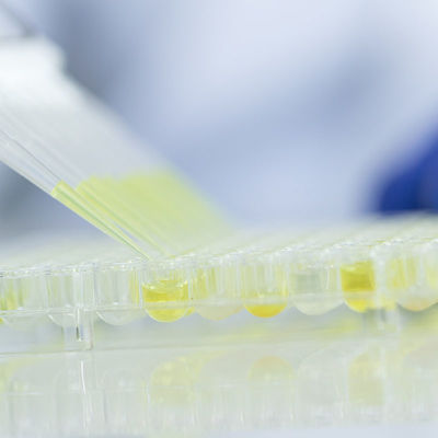 실험실 서비스 Fda 인증된 실험실 제 3자 인증 서비스를 테스트하는 음식 글라스