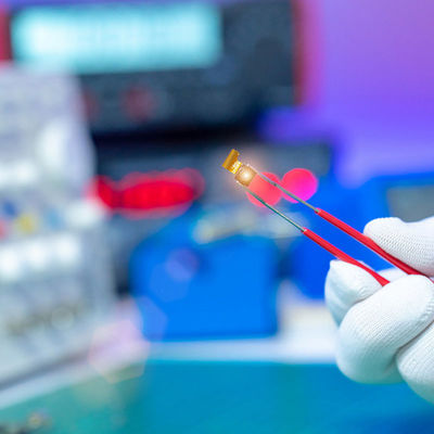 과학자 FDA 실험실 검정 에이전시 식량 애완 사료 제 3자 인증 서비스