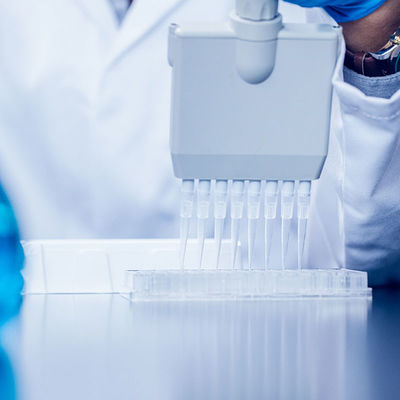 품질 FDA 실험실 인증 NEMKO  SG 실험실 테스팅 제 3자 인증 서비스